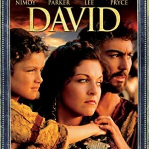 The Bible Stories: David [DVD]