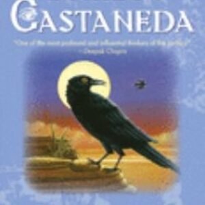 Spiritual Guide for Men Way of the Superior Man David Deida