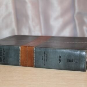 NIV, Bible for Men, Leathersoft, Gray/Tan: Fresh Insights for Thriving in Toda..