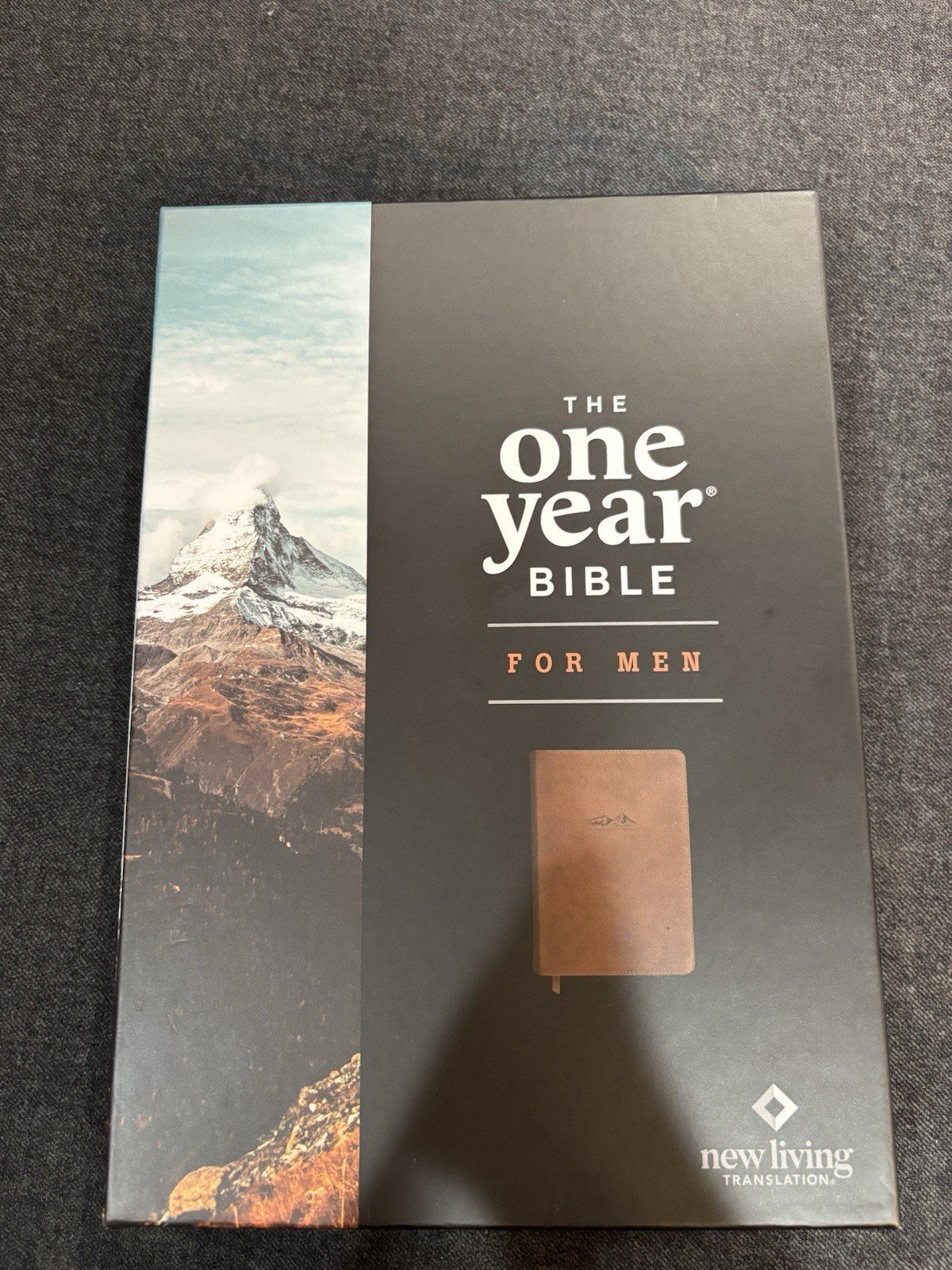 NLT The One Year Bible for Men LeatherLike Rustic Brown Mountain 2025 Tyndale