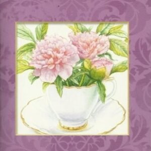 Woman of God-Moments of Grace (25 Devotions)