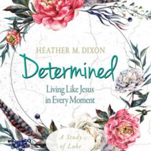 Determined - Women's Bible Study Participant Workbook: Living Like Jesus  - GOOD