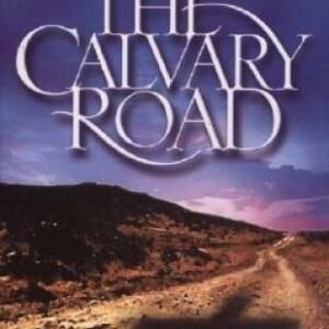 Then Came Heaven- Spiritual Growth Novel - LaVyrle Spencer - Christian Life