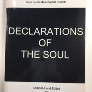 Declarations Of The Soul Faith Journeys of Women Vintage Book