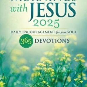 Mornings with Jesus 2025 Daily - VERY GOOD