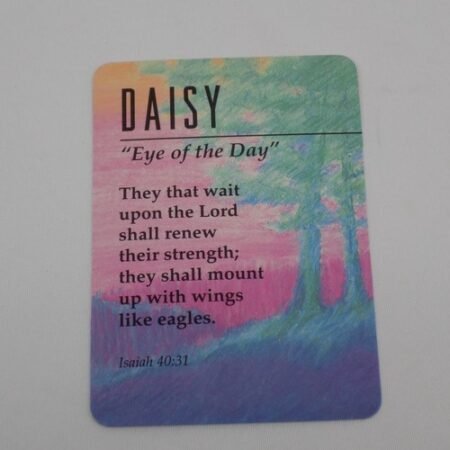 Daisy Eye of the Day Keepsake Name Meaning Card Bible Verse Christian JMar
