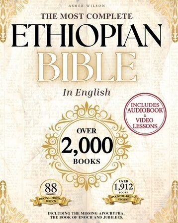 Carrying Case Compatible with Wonder Bible -The Talking Audio Bible Player，Light