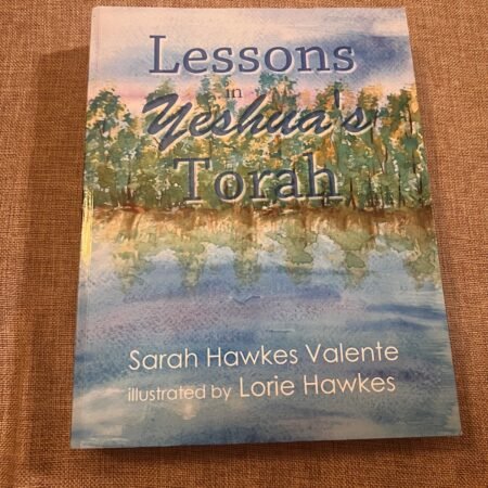Lessons in Yeshua’s Torah OOP SC Hawkes Valente Children’s Bible Study Jesus