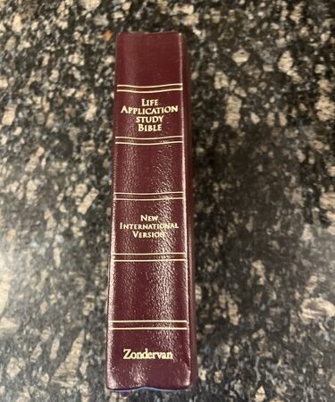 NIV Burgundy Life App Study Bible Red Letter Zondervan 1997