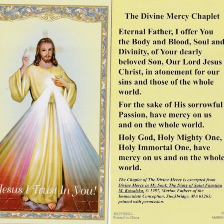 +Holy Card-"Divine Mercy Chaplet" (Jesus I Trust In You) *Prayer-  (HC11-S1}